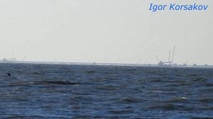 Крымский(январь 2018)мост! Арки,пролёты,опоры!Работы идут!  Надвижка идёт! Комментарий!