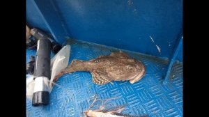 Владивосток, на рыбалке в Японском море