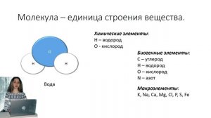 Химические компоненты клетки. Макроэлементы. Микроэлементы.