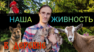 Обзор ВСЕХ наших животных в деревне