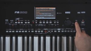 Best Instrument from Korg Pa300