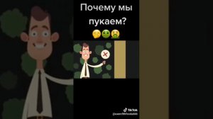 Почему мы пукаем