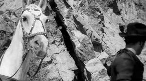 Боливар не выдержит двоих