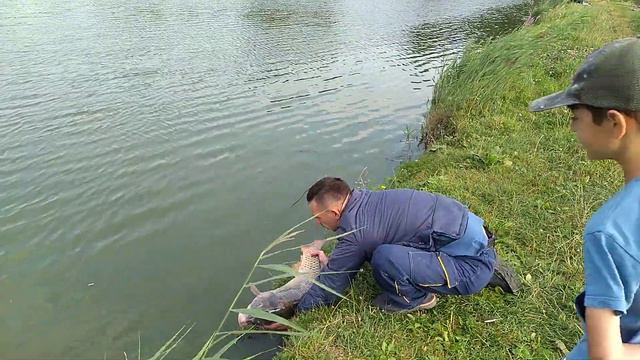Рекордный карп.2022 г.Сергей рекрдсмен. смотреть онлайн