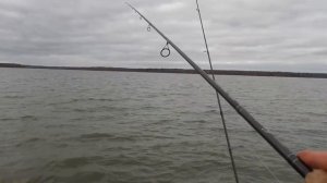5 дней рыбалки с лодки на Яузском водохранилище. Ловля на спиннинг