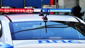 Цепь и перцовый баллончик: в Петербурге ищут участников дорожного конфликта