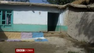 Афганистан лакайлари