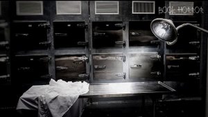 ЗАПИСКИ САНИТАРА #МОРГА