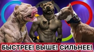 ОКД как вид спорта