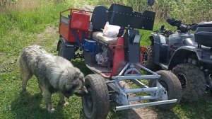 муравей четыре колеса. прогулка по полям.