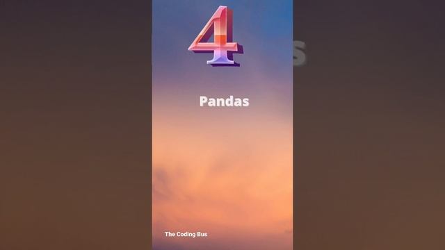 Python Libraries For Data Science #python #datascience смотреть онлайн