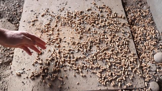 Why Rat X Is The Only Rat Poison I Will Ever Use - Safe & Effective - Mousetrap Monday смотреть онлайн