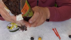 Уловистые, пылящие, самодельные бойлы за 15 секунд. Сравниваю с покупными