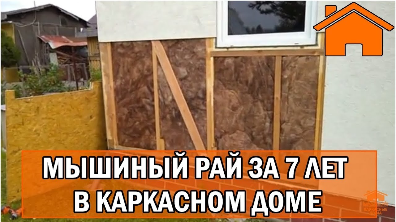 Kd.i Мышиный рай за 7лет в каркасном доме. Слабонервным не смотреть.