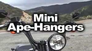 2008 Harley-Davidson FLSTSB Cross Bones Motorcycle Review