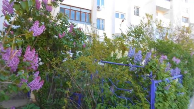 плыл по городу запах сирени смотреть онлайн