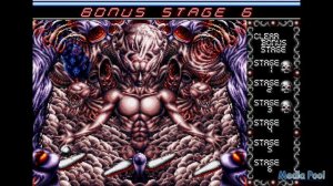 Dragon's Fury [SEGA MEGA DRIVE]|