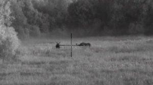 Цифровой прицел Pulsar Digex N455