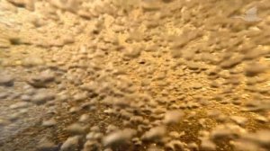 AQUARIUS TRAPER и PYRANHA FUSION 2