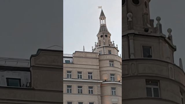 Предновогоднего настроения 🌲❄️ снежного желаю смотреть онлайн