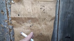 Отстрел после раздушки крюгергана