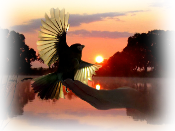 Забытый вальс