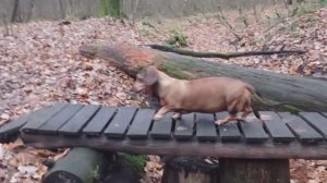 2023:11:08_08.10.21 Прогулка в Измайлово