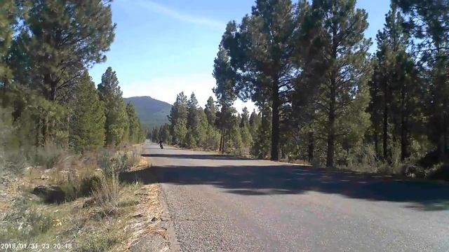 wheelie! 04 yamaha fz6 смотреть онлайн