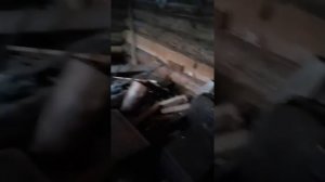 Медведь-ШАТУН!!! Съездили на рыбалку...