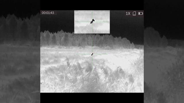 Любительницы курей идут в сторону деревни, после захода солнца. смотреть онлайн