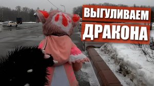 Выгуливаю дракончика. ФУРРИ встреча в МОСКВЕ