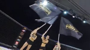 Алтай Пелас