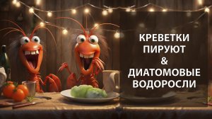 Креветочник. Расширяю рацион и бактериальная вспышка. Диатомовые водоросли, как предвестник беды.