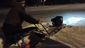 Мотобуксировщик 8 л.с. в деле. Тест-драйв.