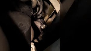 Полное отключение егр на ямз 651 без перепрограмирования компютера