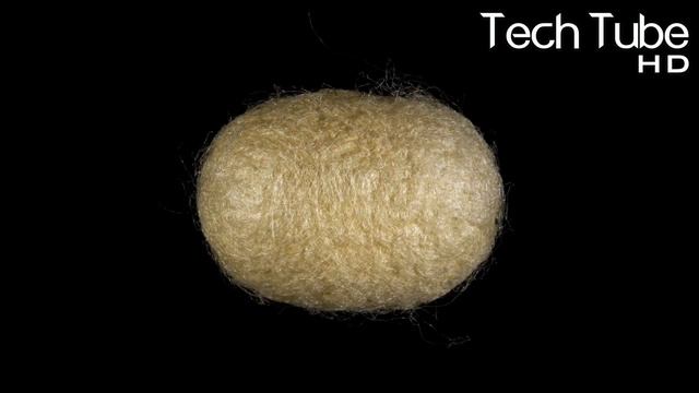 Modern Farming: Million of SilkWorm for Silk | How to Harvest Silk Cocoons & Process Them смотреть онлайн