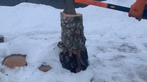 Бензопила STIHL MS 231. Расход бензина и масла для цепи на 8-складометров дров берёзы.
