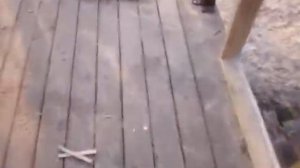 Строительство беседки часть № 6  Крыша беседки