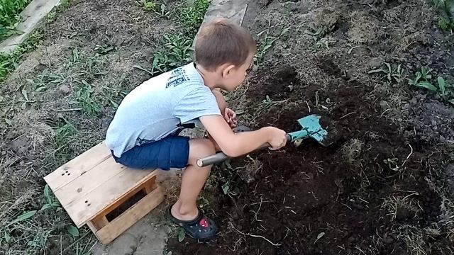Кладоискатель.