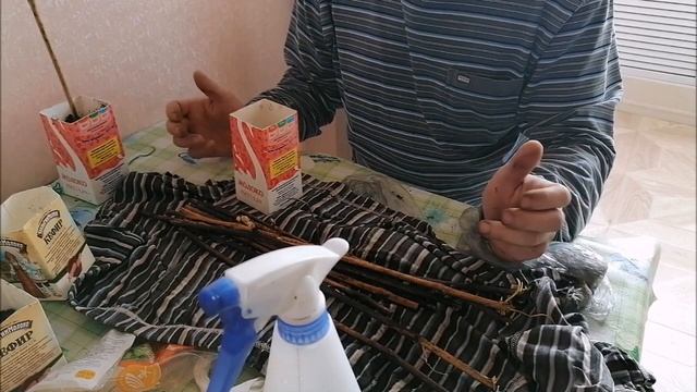 виноград от черенка до высадки в грунт смотреть онлайн