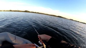 Блесна Mepps продолжает ловить Щук, Уткуль