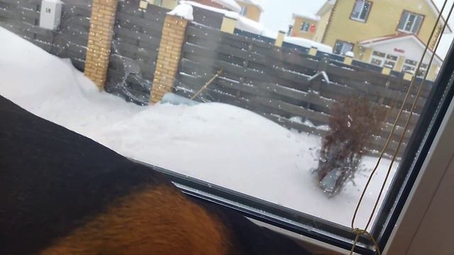 походу я опять заболела😕 смотреть онлайн