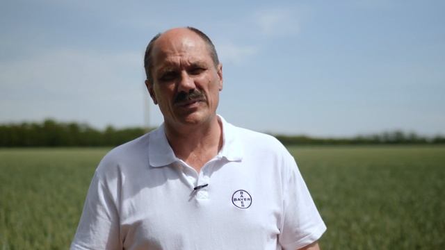 Защита от фузариоза колоса смотреть онлайн