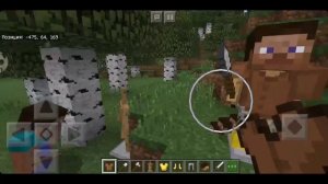 Играю в Minecraft Bedrock Edition 1.8.0 на своем сервере