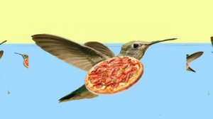 Птица Пицца