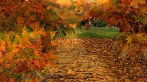 А ЛЮБОВЬ ОСЕННЯЯ АРТУР РУДЕНКО