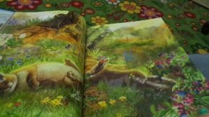 РАССКАЗЫ О ЖИВОТНЫХ СЕТОН ТОМСОН