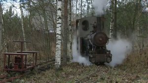 В Ленинградской области трое друзей запустили железную дорогу с самодельным паровозом