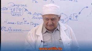 Вегетарианство это карающий меч здоровья Экспертное мнение биохимика @Артлайф Ar.