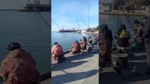 3  Супер интересная рыбалка в Туапсе Super interesting fishing in Tuapse 2023